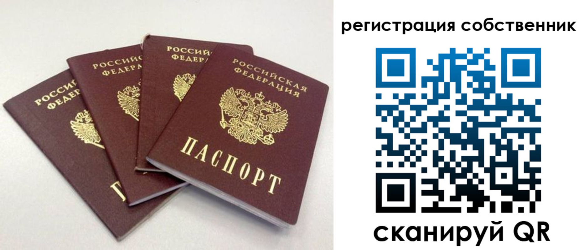 прописка для школы в Зверево